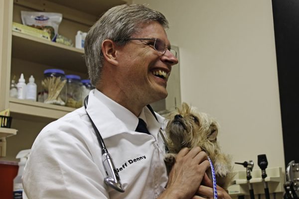 Dr. Denny showing a scruffy tan dog